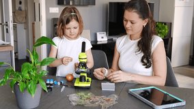 Little girl and her mother examining onion skin under a microscope at home. Concept of family science education and early biology learning. High quality 4k footage - Powered by Shutterstock - Get 15% off with code: PIKWIZARD15
