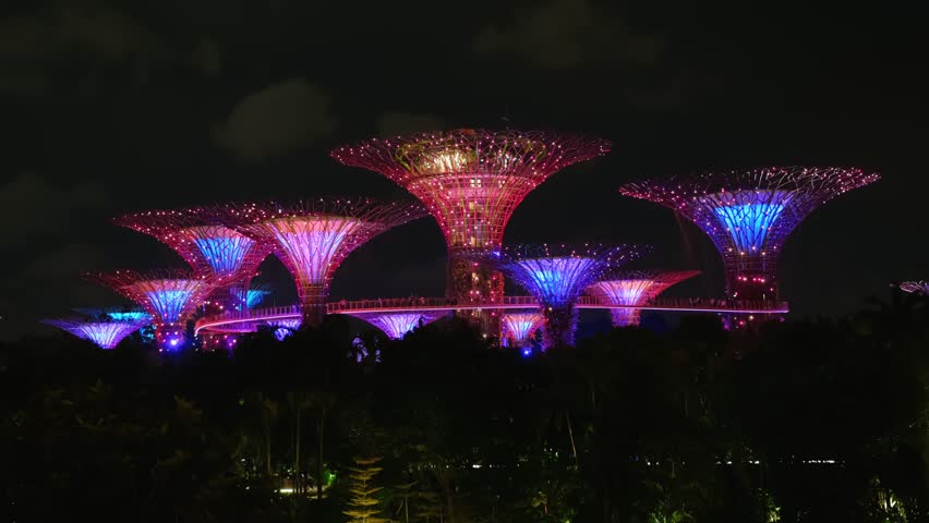 Supertree grove, singapore, gardens by the bay, displaying a mesmerizing light show with changing colors at night