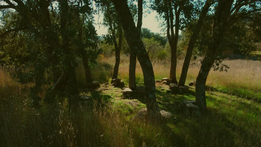 Ancestral resting place, natural relaxation in a circle of trees, Peña de Los Gitanos, Montefrio, Granada