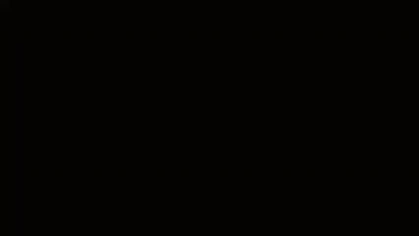 Shutterstock Video