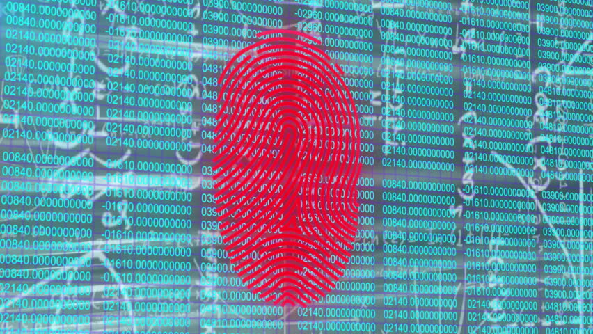 Upon code matrix appearing, digital fingerprint shifting colors scanning lines extracting identity. Biometrics, cybersecurity, data analytics, digital interface, futuristic, technology, security - Powered by Shutterstock - Get 15% off with code: PIKWIZARD15