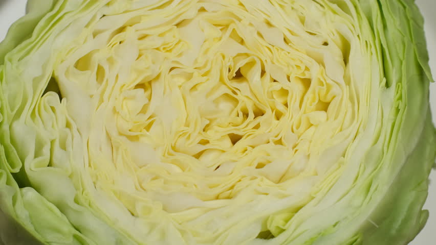 Fresh sliced Cabbage head texture macro, rotation