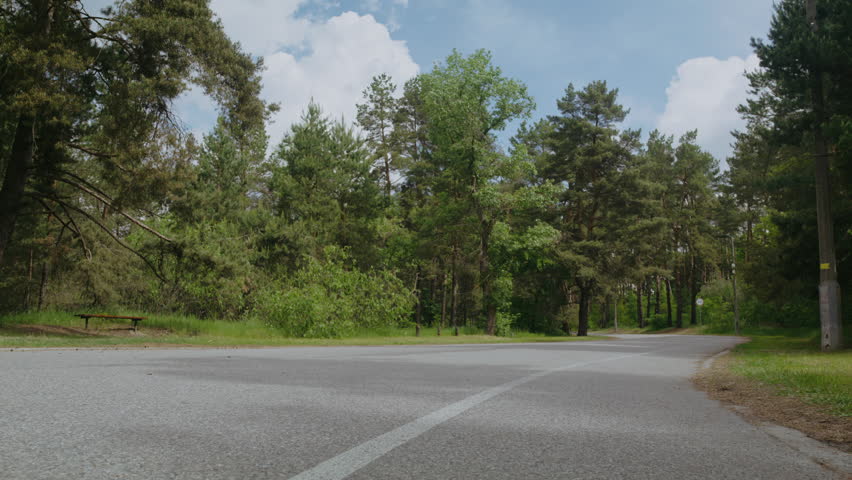 Trained cyclists ride professional bicycles along rural asphalt road rear view. Athlete group on fast bikes prepares for competition at forest countryside