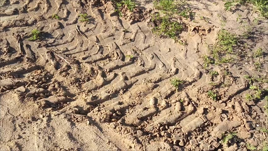 Footprints in the sand from a bulldozer wheel. Footprints on the ground from the tires of construction equipment. 
