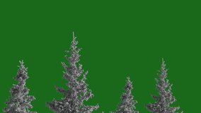 snow-covered fir trees on a green screen - Powered by Shutterstock - Get 15% off with code: PIKWIZARD15