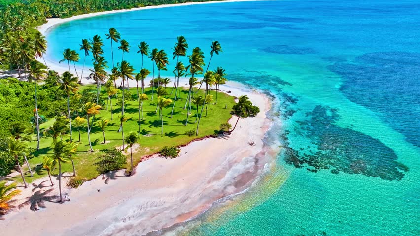 Landscape of an island in the ocean. Beach with palm trees and perfect turquoise sea water. Relaxing and exotic drone view of a tropical coastline. Luxury summer vacation and holiday concept.