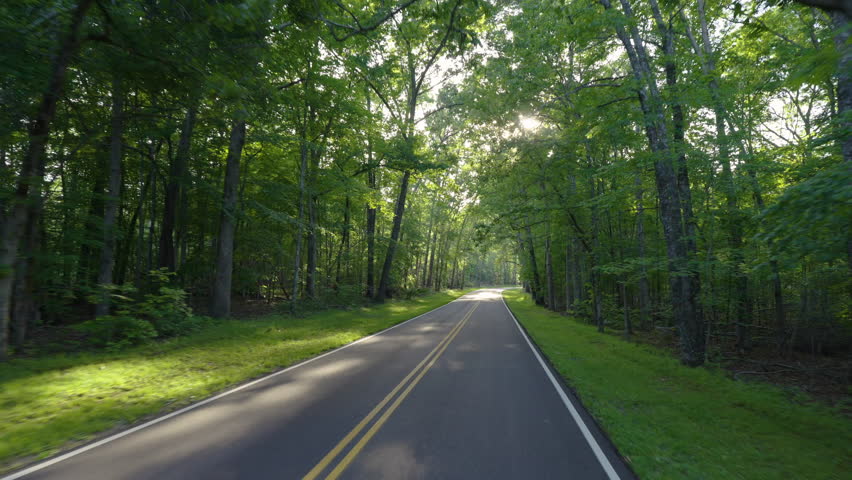 Car point of view driving on winding mountain road in summer woods. Appalachian mountains in North Carolina with fresh green forest trees in summertime season. Beauty of USA nature