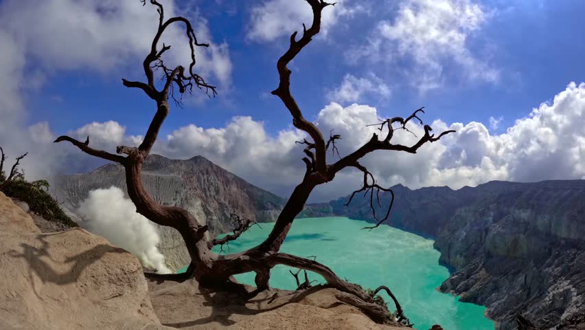 Timelapse sequence of the Ijen volcano crater lake and steaming fumaroles with a dead tree in the foreground, Indonesia.