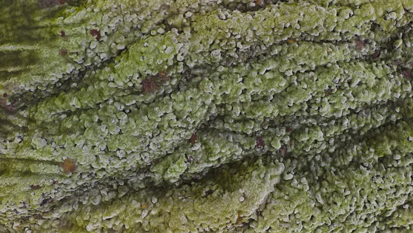 Aerial 4K Drone Footage of Icelandic Volcanic Landscape with Green Moss-Covered Lava Rocks
