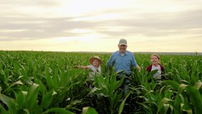 Family values, dad children running together hand in hand on corn plantation. Farmer father little daughter, son playing on corn field. Dad farmer, children running on corn field. Business Agriculture - Powered by Shutterstock - Get 15% off with code: PIKWIZARD15