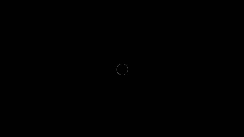 Shutterstock Video