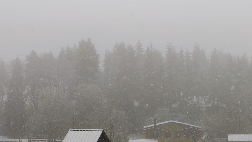 Soft snowflakes veiling remote woodland and residential structures during winter haze