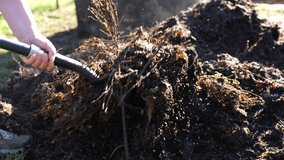 turning a compost pile in a community garden. compost full of microorganisms. sustainable regenerative agriculture with a soil sample in australia - Powered by Shutterstock - Get 15% off with code: PIKWIZARD15