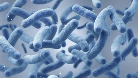 Lactobacillus bacteria, probiotic medical background 3d animation. - Powered by Shutterstock - Get 15% off with code: PIKWIZARD15