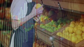 Clerk reaching into crate, sorting citrus with finance graphs overlaying, turning to camera smiling. Fresh produce, retail, merchandising, healthy, vibrant, professional, consumer - Powered by Shutterstock - Get 15% off with code: PIKWIZARD15