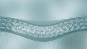 Animation Skin Cell Medical Background Cosmetics Beauty Skin Care Concept. 3d Skin Collagen through Wrinkle Layer Reduce Up Saggy Skin of Body Molecule Element. Serum and Vitamin 3d Motion Graphic 4k - Powered by Shutterstock - Get 15% off with code: PIKWIZARD15