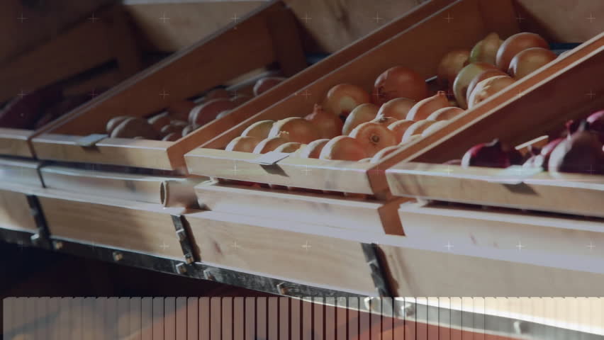 Shutterstock Video