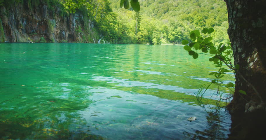 Calm turquoise water of Plitvice Lakes bordered by rocky cliffs and dense forest