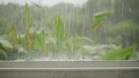 Zooming In on Heavy Rain Hitting Balcony Railing with Dense Tropical Plants and Trees in the Background Captured from Eye Level During Daytime Rainfall, Zoom Effect Present - Powered by Shutterstock - Get 15% off with code: PIKWIZARD15