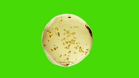 Golden serum drop with visible molecules and bubbles, isolated on green screen. Perfect for cosmetic product animations, beauty ads, and skincare visual presentations. - Powered by Shutterstock - Get 15% off with code: PIKWIZARD15