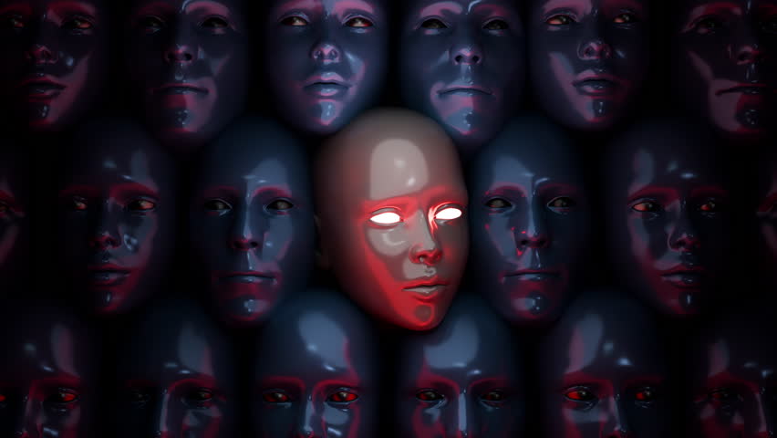 Shutterstock Video