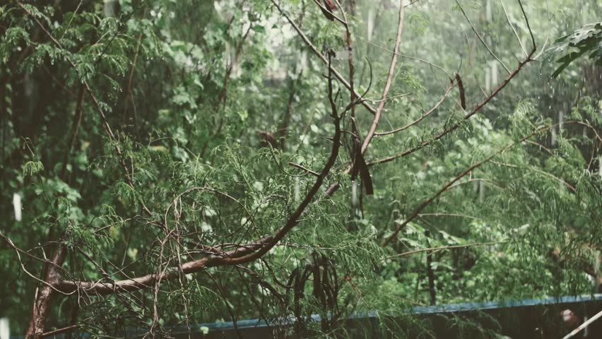 Rain falls gently, evoking deep memories and emotions. A moody, cinematic moment of reflection, perfect for themes of nostalgia, longing, and introspection.