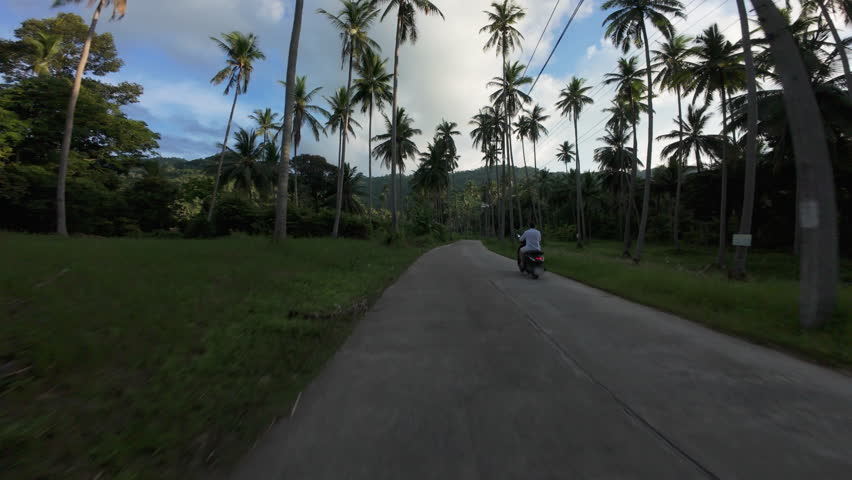 Man Riding Scooter on Curved Concrete Road Through Palm Forest as Drone Catches Up and Passes, Rear Aerial Motion Shot, Tropical Pursuit Concept.