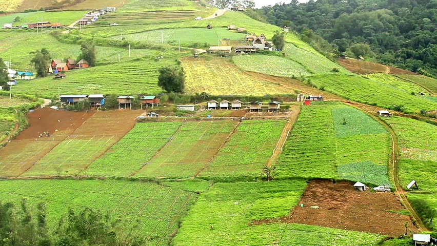 Agriculture on the mountain.