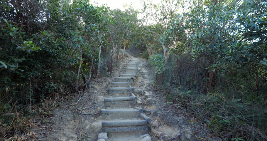 First-person view walking up old concrete steps winding through lush green shrubs on hill slope, final section trail before reaching Lion Rock. Sunlight twinkles through the foliage