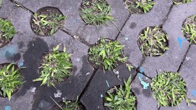 Top view of interlocking concrete pavers with circular holes partially filled with grass, showing weathered texture and scattered paint stains. - Powered by Shutterstock - Get 15% off with code: PIKWIZARD15