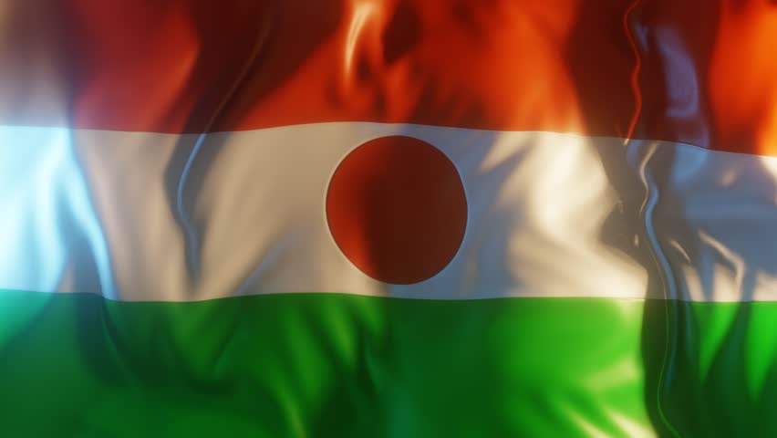 Niger Flag Frontal Close up View 3D Render