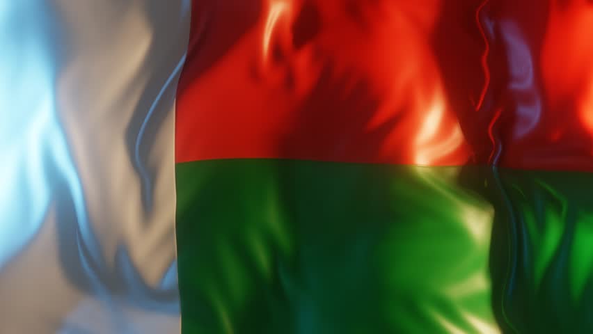 Madagascar Flag Frontal Close up View 3D Render