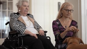 An elderly woman seated in a wheelchair is visited by her daughter and a friendly dog. The atmosphere is warm as they share a special moment together. - Powered by Shutterstock - Get 15% off with code: PIKWIZARD15