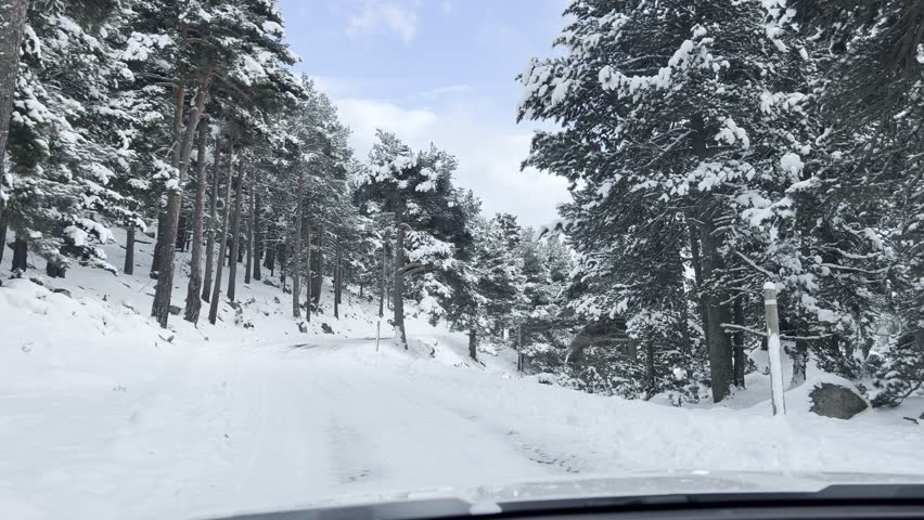 Winter road trip through snow covered pine forest in the Pyrenees mountains