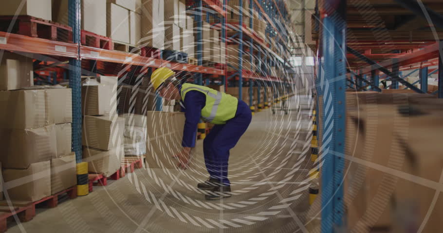 Shutterstock Video