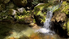A small waterfall flowing over moss covered rocks in a dense forest with falling rays of sun - Powered by Shutterstock - Get 15% off with code: PIKWIZARD15