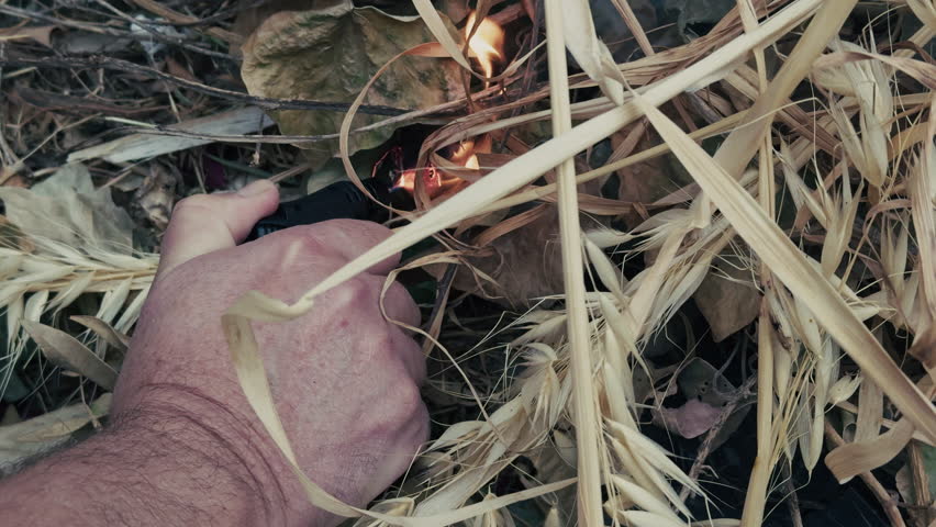 Fire Burning Noxious Weeds and Shrubs