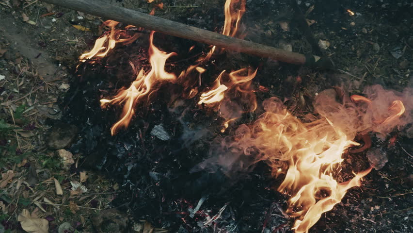 Fire Burning Noxious Weeds and Shrubs
