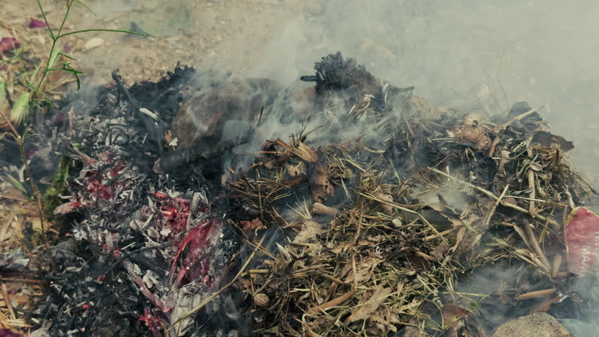 Fire Burning Noxious Weeds and Shrubs