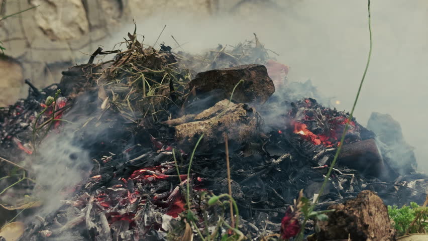 Fire Burning Noxious Weeds and Shrubs