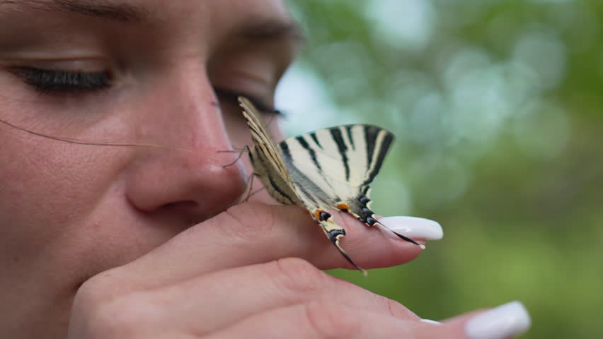 Swallowtail butterfly on hand person striped butterfly sits on finger in nature