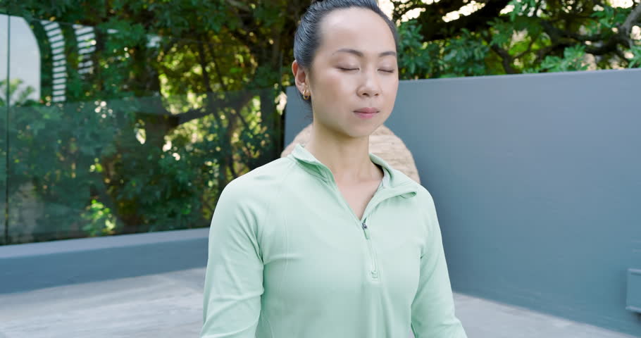 Shutterstock Video