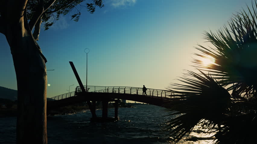 Sunset Light Seeping Through Tree Leaves and Bridge on Sea Holiday Concept