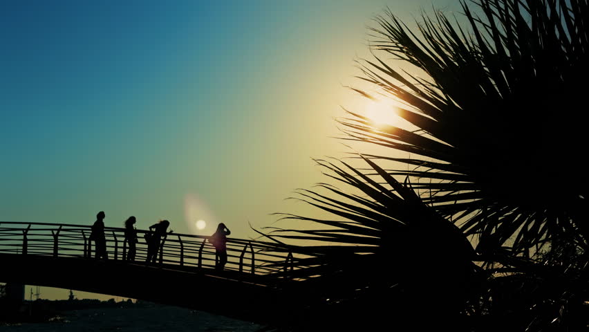 Sunset Light Seeping Through Tree Leaves and Bridge on Sea Holiday Concept