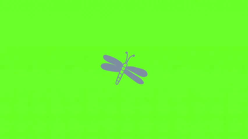 Shutterstock Video