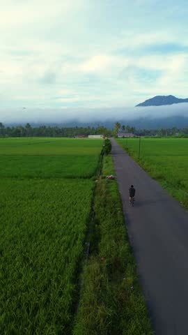 Man Riding Bike on Country Road, Indonesia
