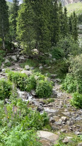 Incredible mountain vistas. Sheer cliffs and peaks of the mountain range. Peaks of mountains. Rock climbing and hiking in the mountains. Mountain trails. Mountaineering in Kyrgyzstan. Ala Archa Nation