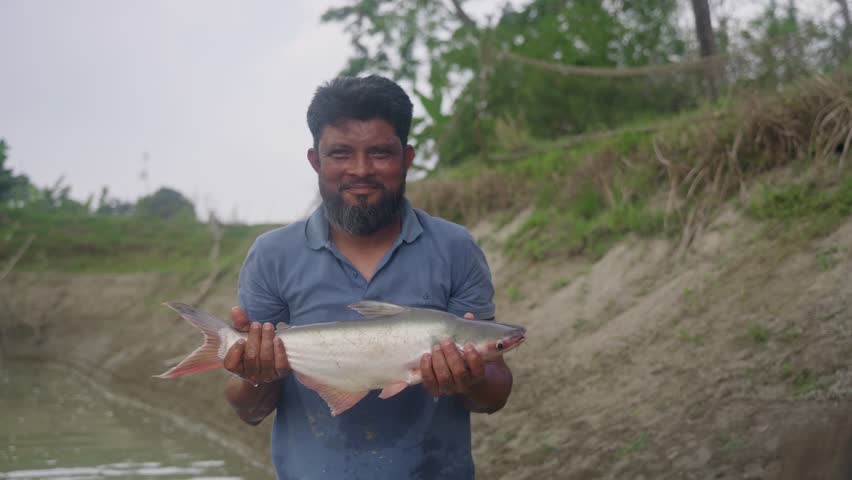 Holding Freshly Caught Fish. A Bangladeshi fisherman proudly holds up a freshly caught fish near a pond. 