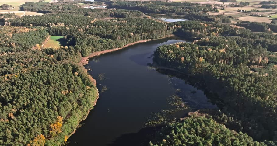 Woods and lake in sunny autumn, aerial view of Poland, Europe