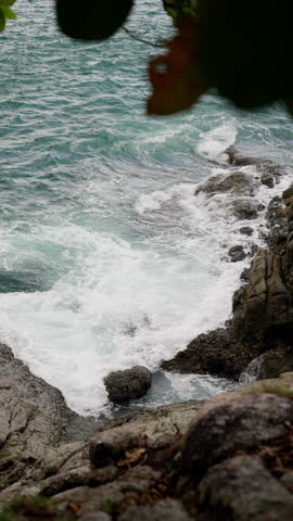 Dynamic view of powerful ocean waves crashing onto rugged coastal rocks with foamy water splashing around the natural shoreline under a leafy canopy
